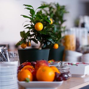 City Center Rooms Piotrkowska 91